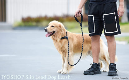 Durable Slip Lead Dog Leash, 1/2" X 6 FT, Black
